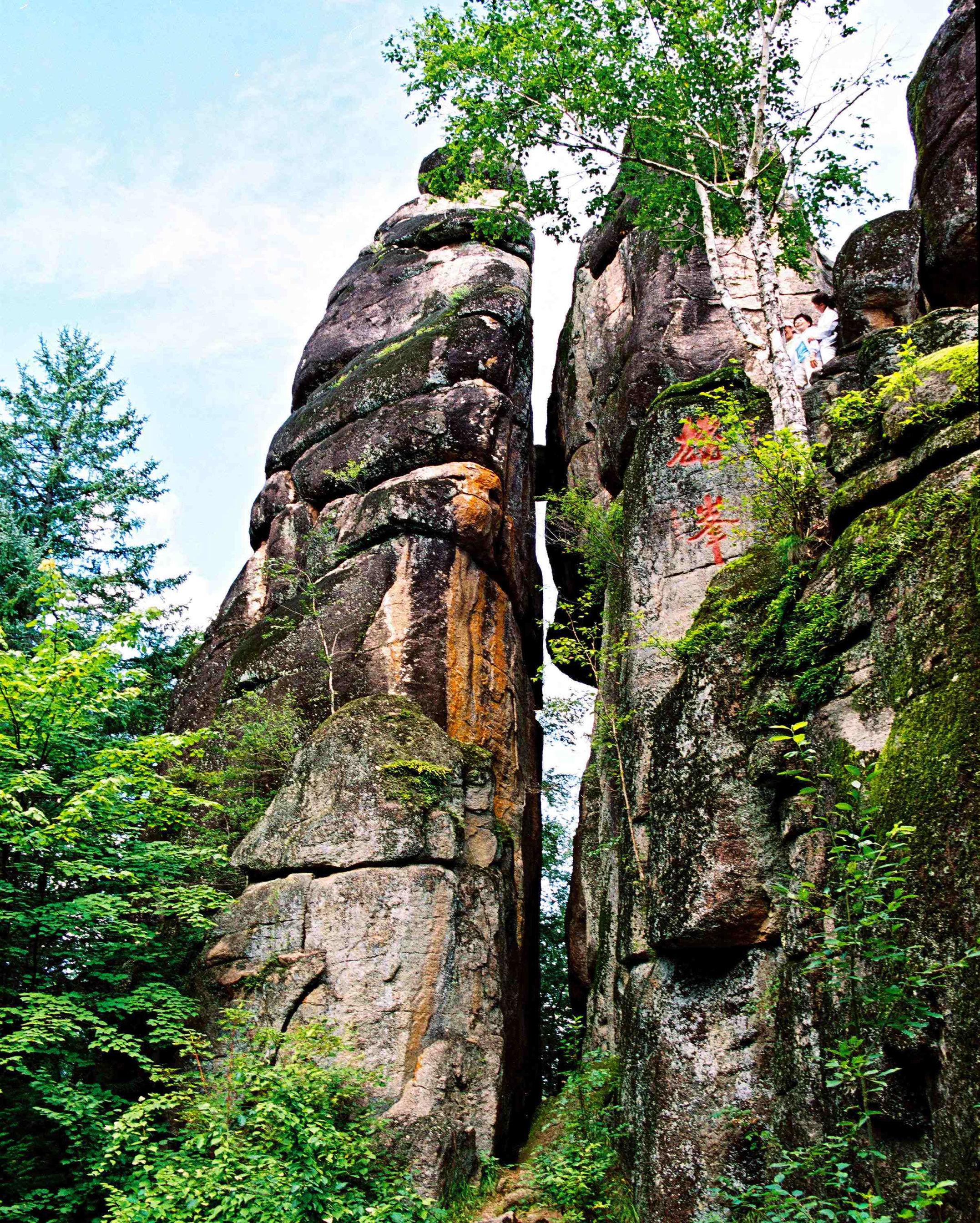 千岁兰 管绍能 的想法: 伊春汤旺河石林风景区