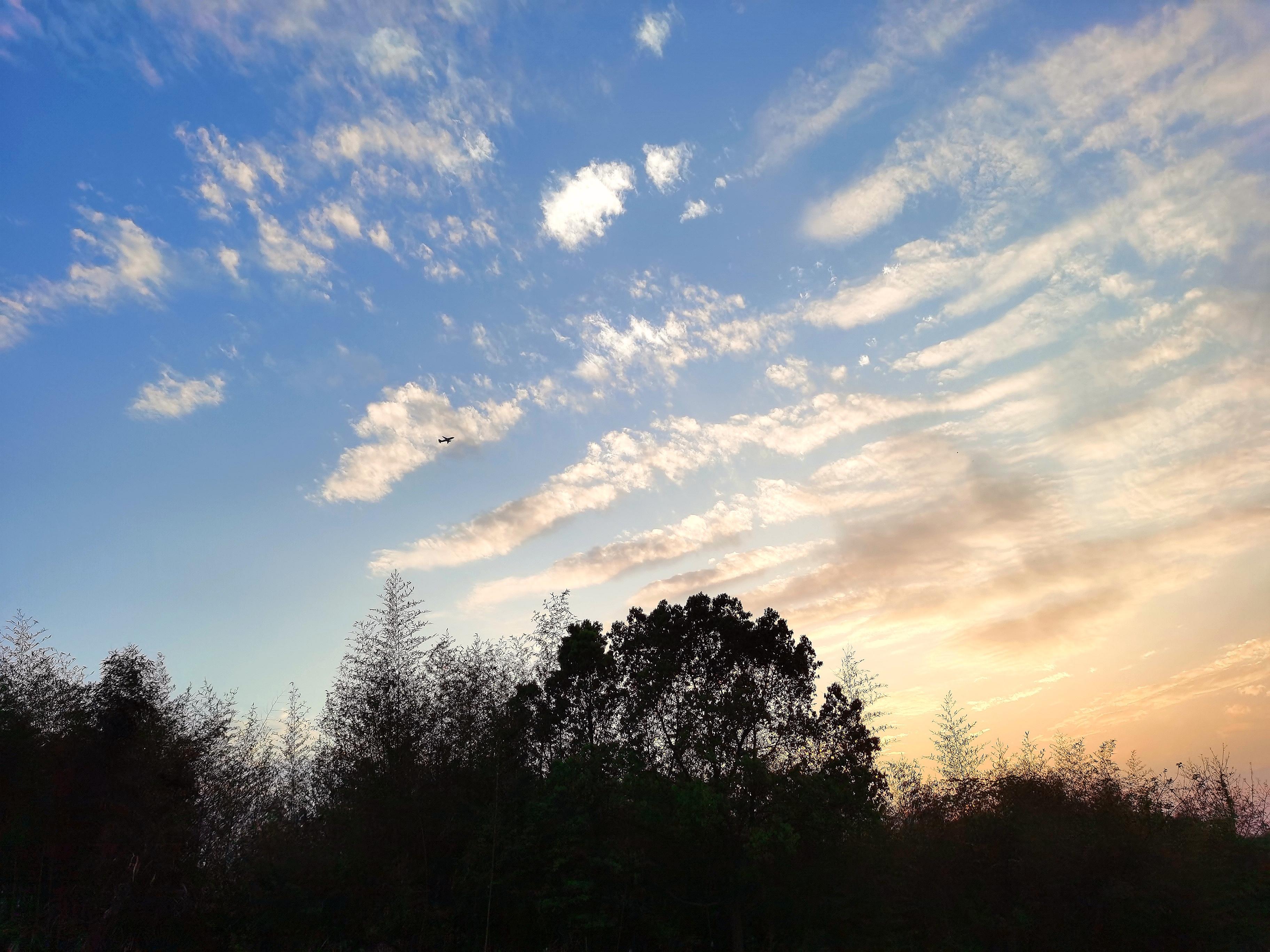 梧桐在木星 的想法: 夕阳