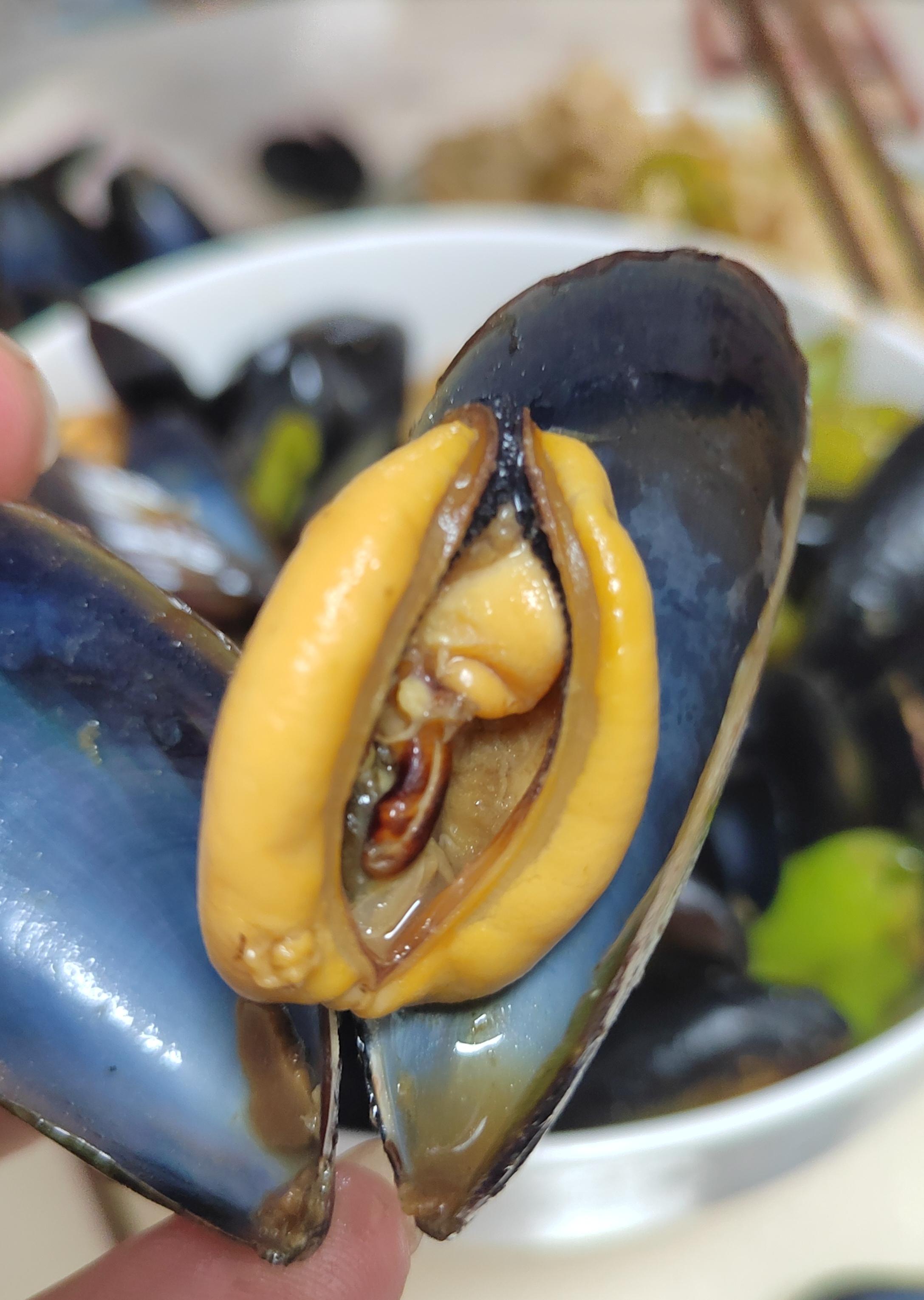 这个季节的海虹真好啊昨天