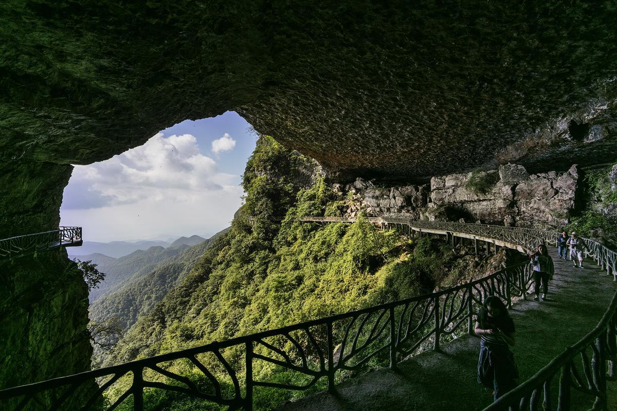 千岁兰 的想法: 重庆金佛山国家重点风景名胜区 | 重庆金佛山国家重点