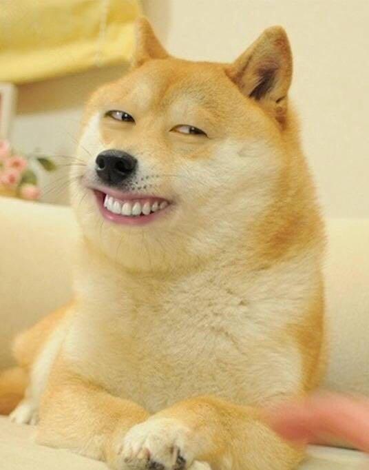 你见过什么看一遍就忍不住笑的图片