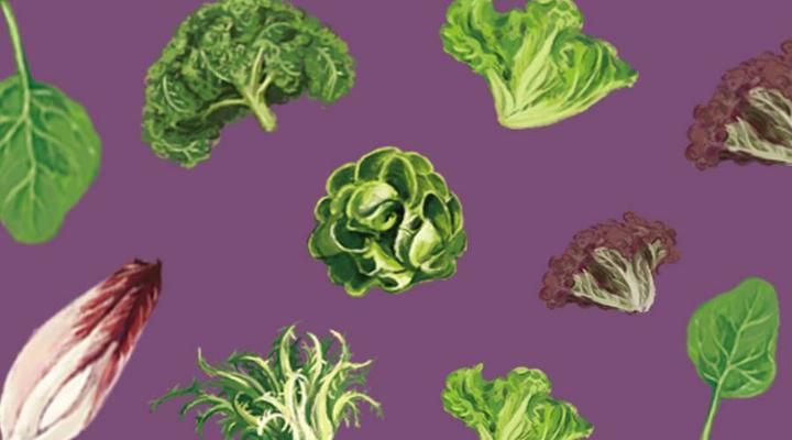 letssalad生吃的菜不止生菜