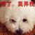 Zhihu profile picture for @davidson