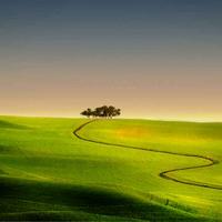 关注了问题2021-08-05 10:06各位医学考研大神,刘忠宝老师,隋准老师