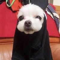 Zhihu profile picture for @unexpectedly
