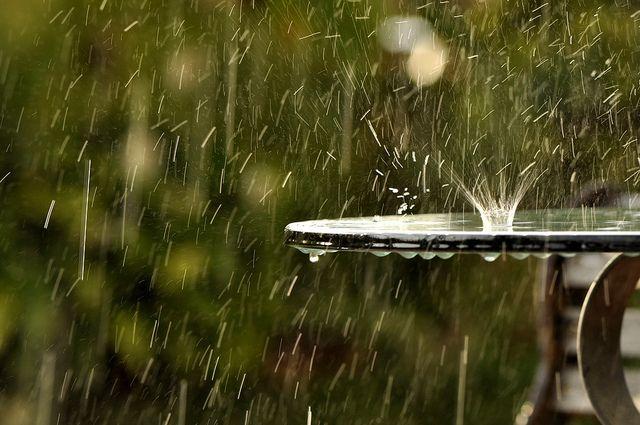 下雨的味道究竟是什么味道？ - 知乎