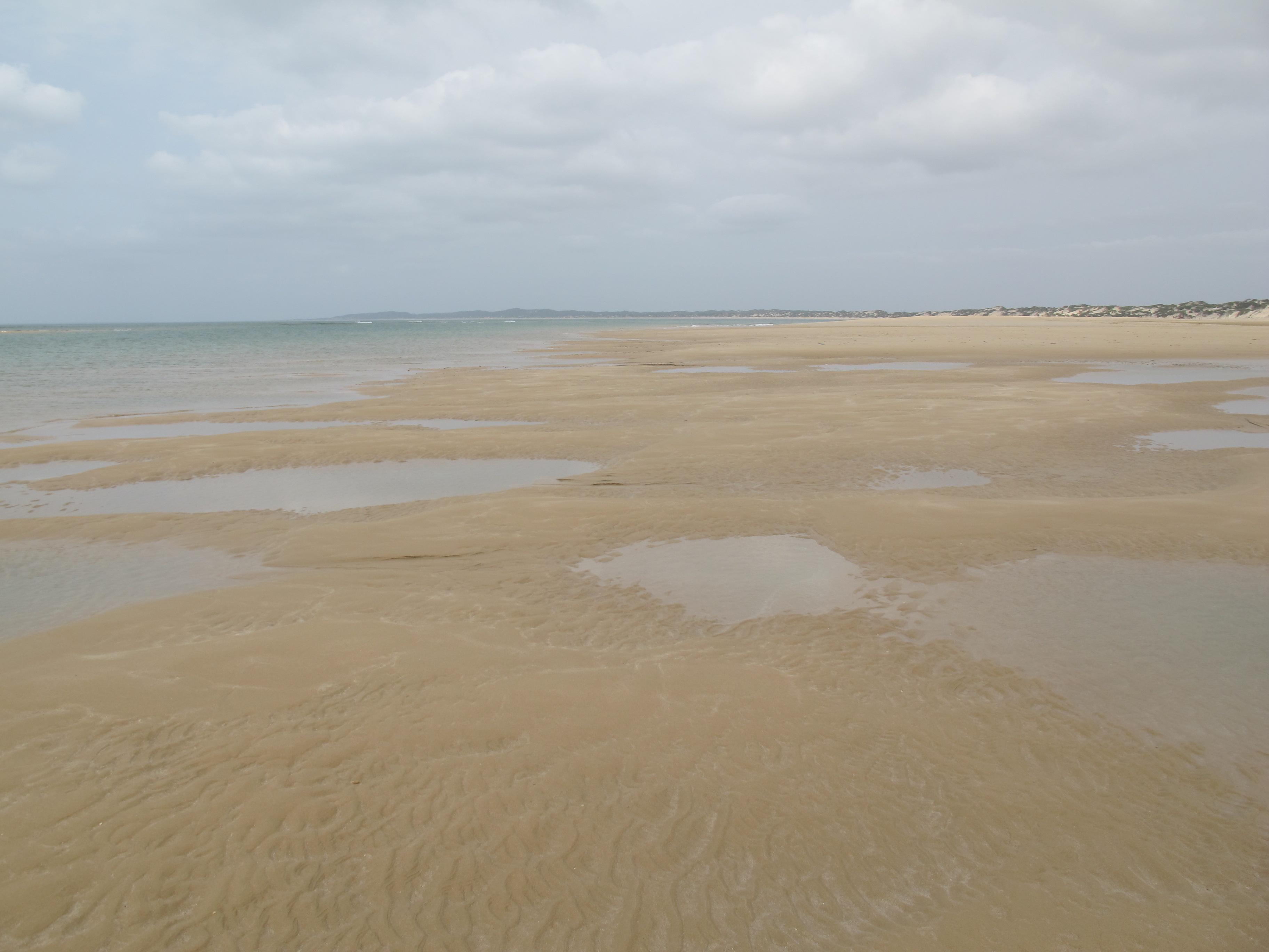 到非洲旅行带 8 岁小朋友同行有哪些需要注意的事项?