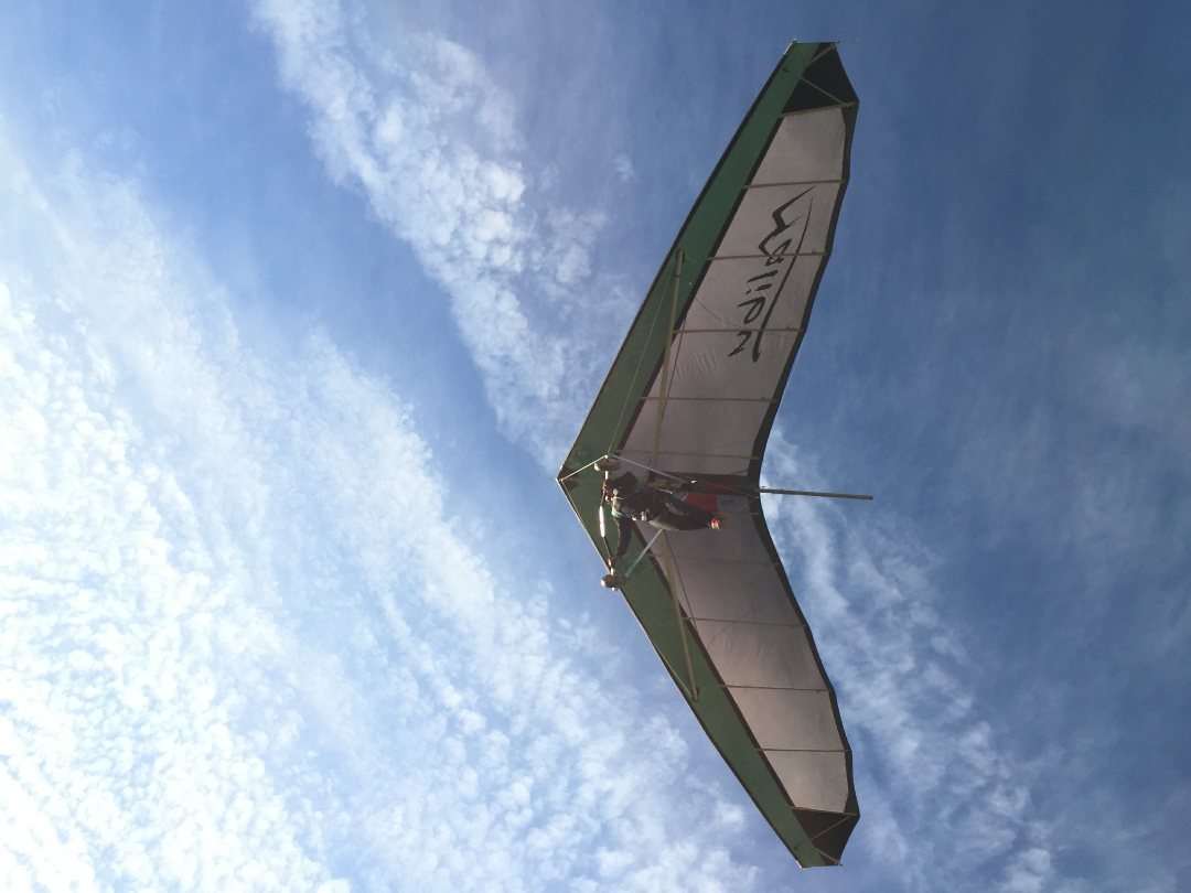 国内无动力三角翼现况对比