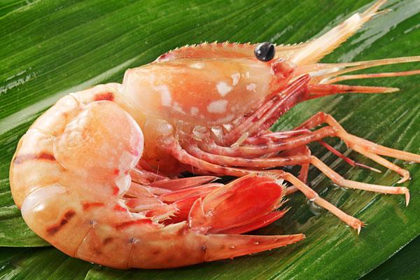 如何区分罗氏虾,基围虾,大头虾,青虾,九节虾,花虾,竹节虾,对虾,沙虾