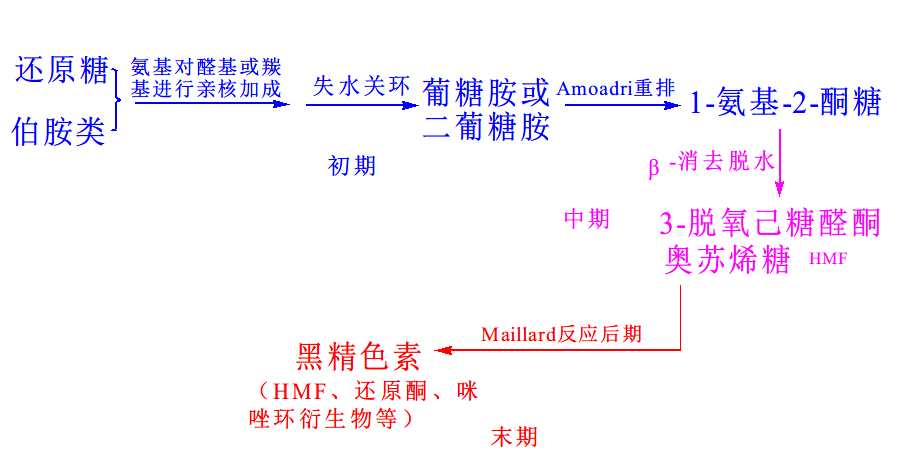 美拉德反应酮式果糖胺到环式果糖胺的反应机理