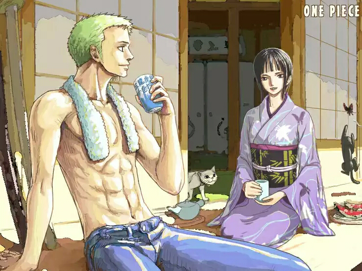 你最希望海贼王里的哪两个人在一起为什么