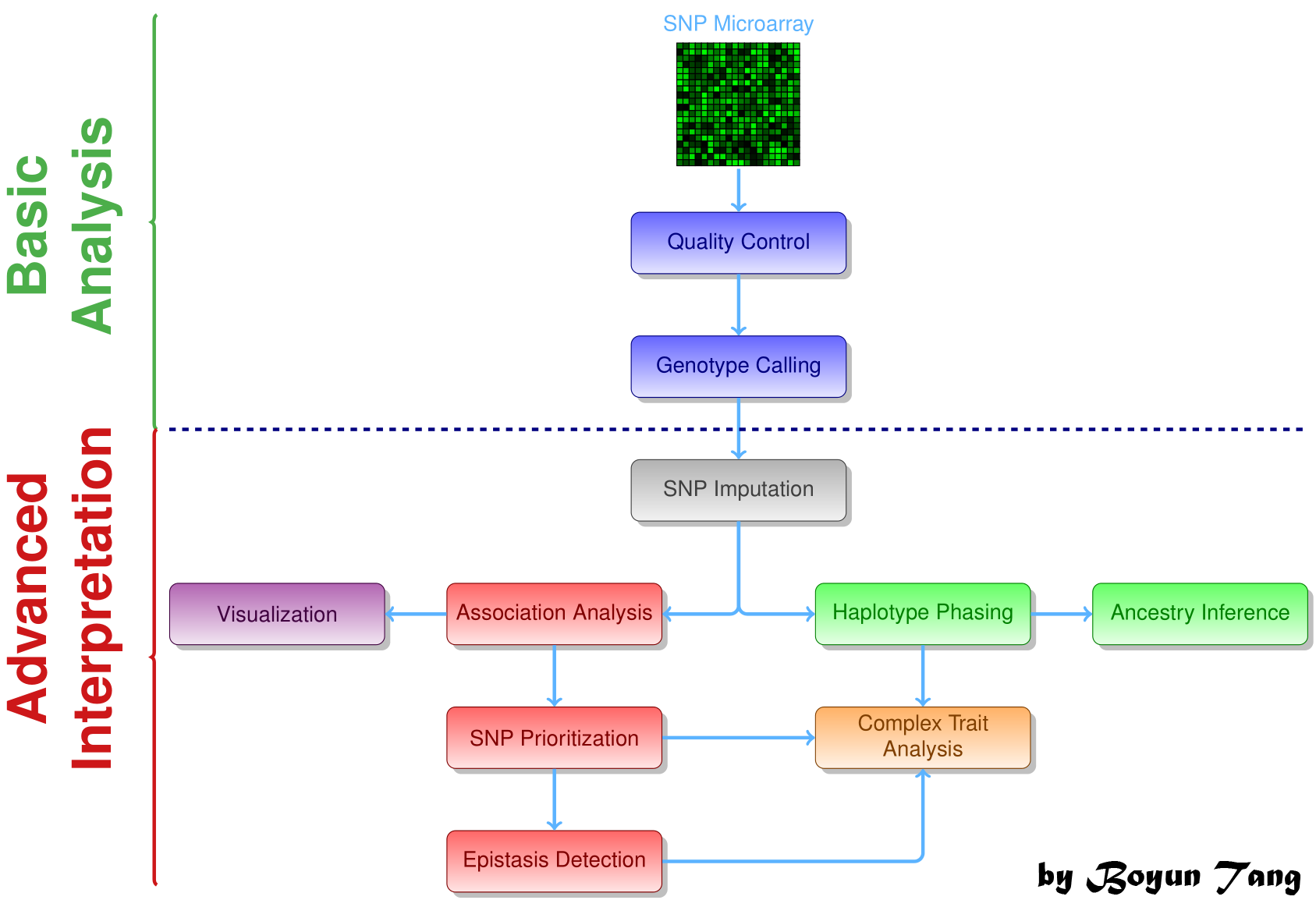 基因组测序过程中进行haplotypephasing的意义是什么