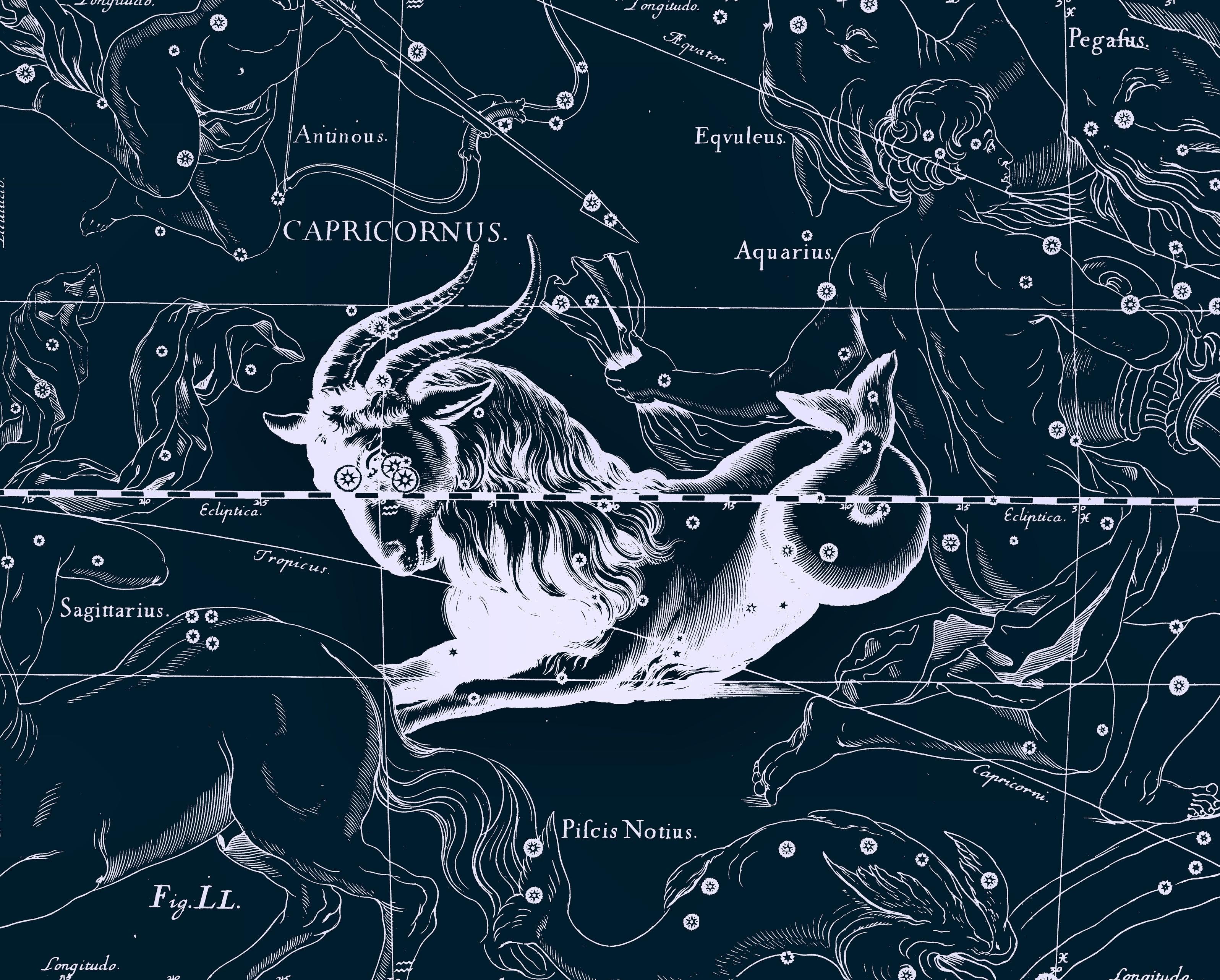 摩羯座是被阉割的公羊吗