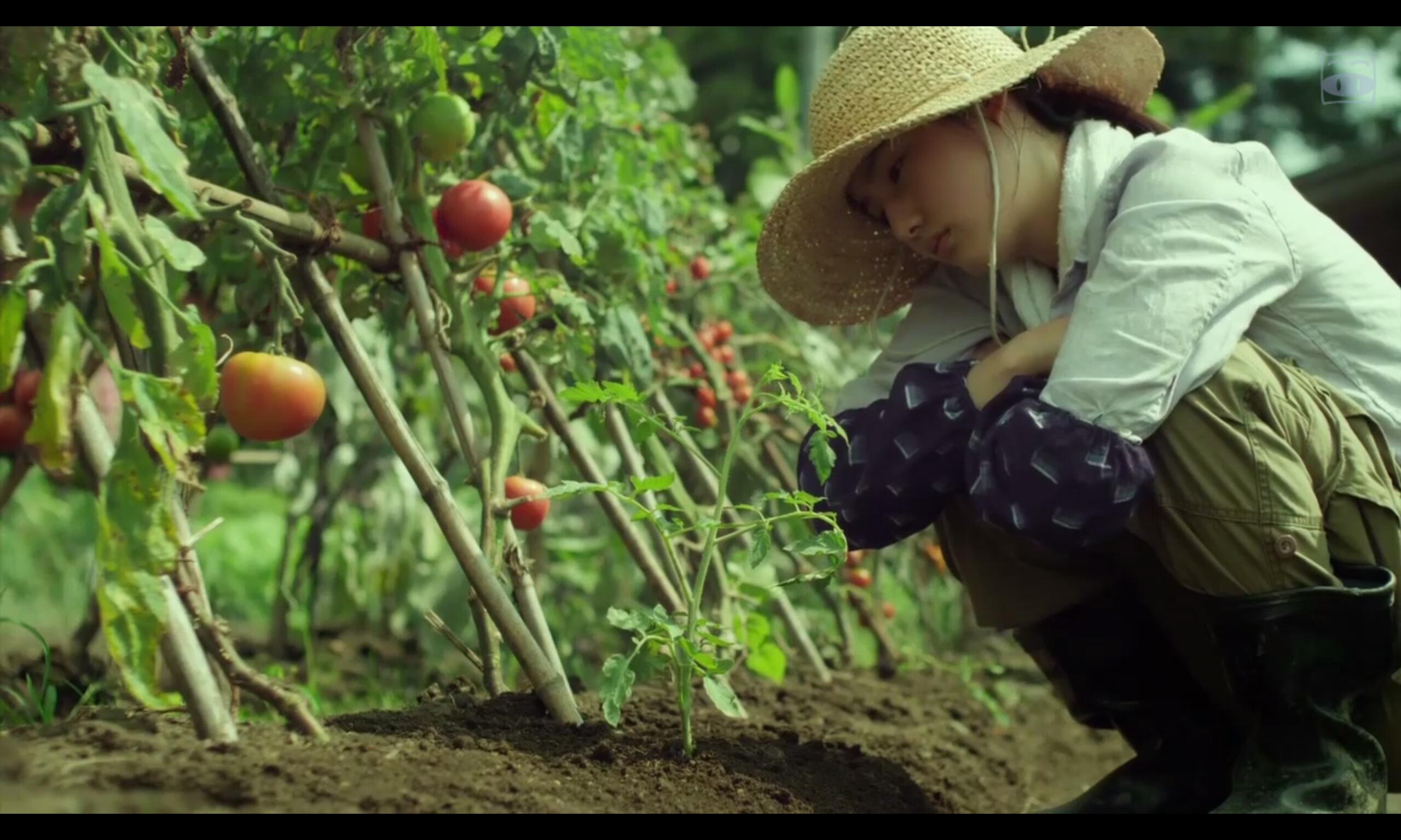 豆瓣90电影小森林冬春篇夏秋篇里的植物都叫什么