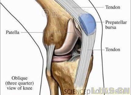 稍高强度的运动后右膝关节外侧韧带?肌腱?两侧有不适感,求教应对方法!