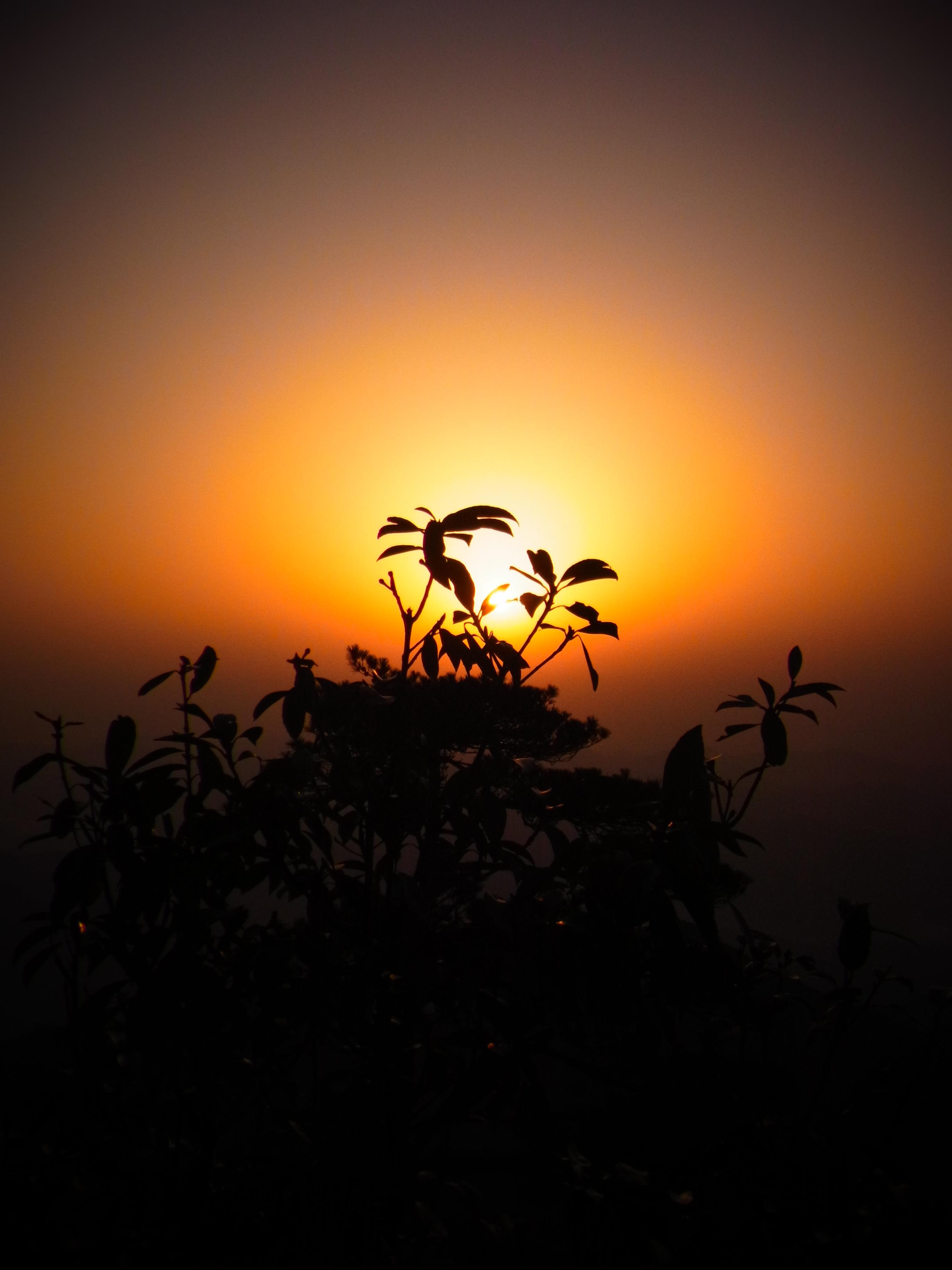 你都拍过什么动人的日出