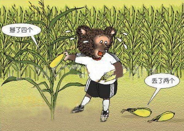 狗熊真的掰棒子吗真的是掰一个扔一个吗