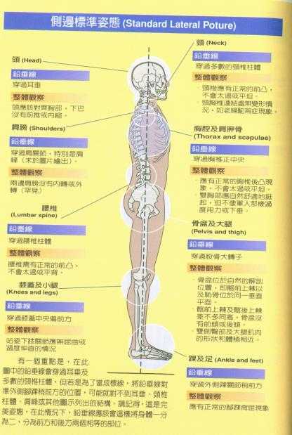 如何保持正确的站姿? - 知乎