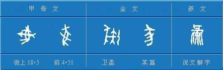 汉语里猪、豚、豕、彘等词有什么区别? - 知乎
