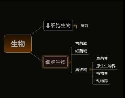 人类起源的大致过程是什么 知乎 人类起源的大致过程是什么 知乎