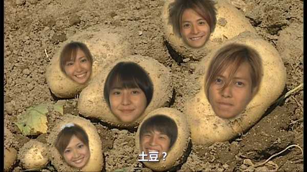 怎样评价长泽雅美 知乎