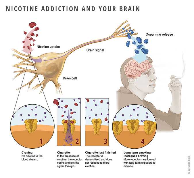 Does Nicotine Increase Risk Of Heart Attack