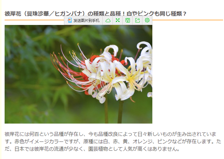 彼岸花 曼殊沙华 曼陀罗之间是什么关系 知乎 彼岸花 曼殊沙华 曼陀罗之间是什么关系 知乎