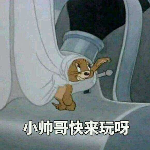 有什么好玩的猫和老鼠表情包？