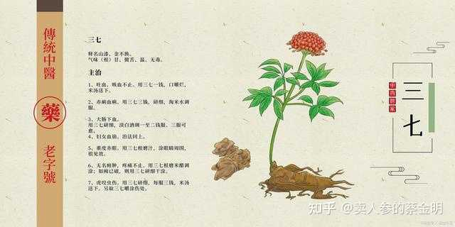 你是怎么鉴别三七和土三七? - 知乎