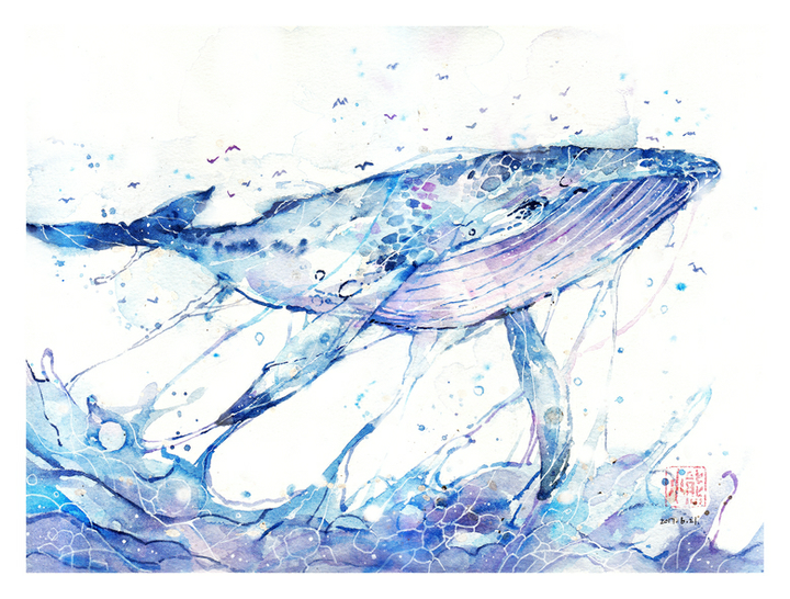 哪里可以找到可以用来当壁纸的鲸鱼 蓝鲸 图片呢 知乎