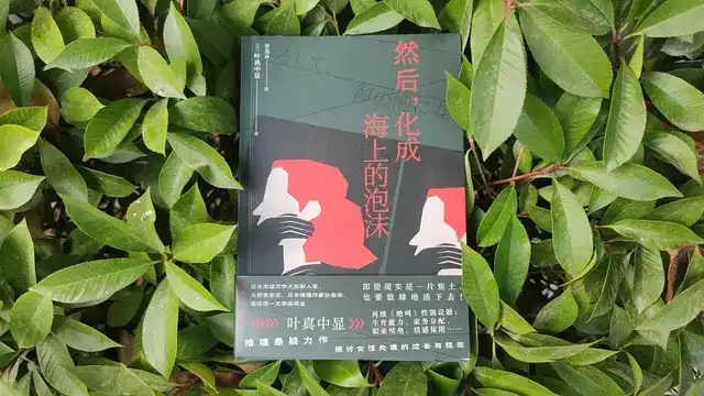 如何评价日本推理小说家叶真中显? - 知乎