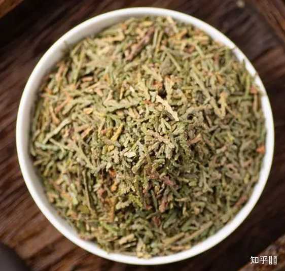 侧柏叶可以泡水喝吗? - 知乎