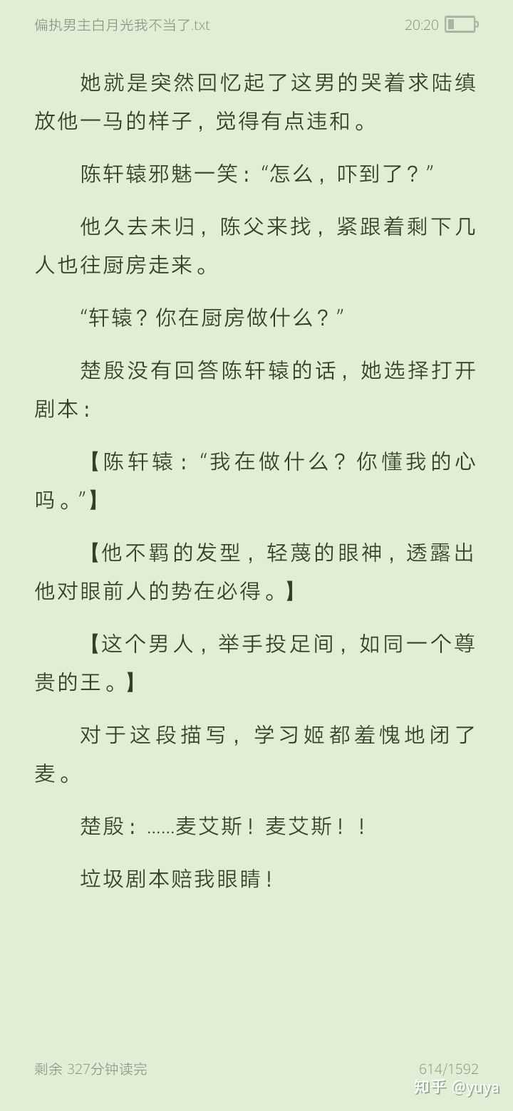 大家有文笔很好画风清奇特别沙雕的言情小说推荐吗 知乎
