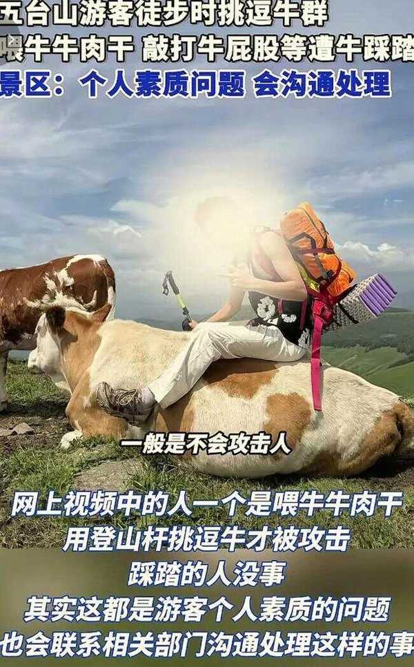五台山游客因挑逗牛被围攻踩踏，如何在旅游过程中避免类似事件的发生？缩略图