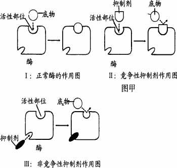 酶与底物结合后,空间结构会改变吗 知乎