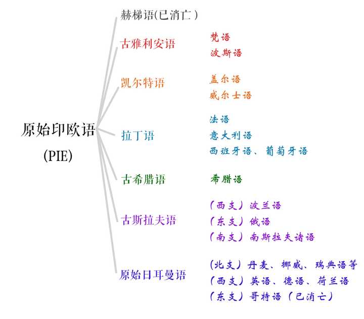 拉丁语使用人并不多 为什么西方国家那么多中学 大学仍有拉丁语课 安森垚的回答 知乎