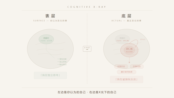 为什么「大道理都懂，就是做不到」？