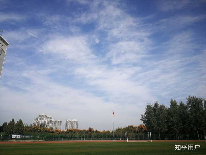 动物医学是个垃圾_医学垃圾怎么处理_医学垃圾动物是什么