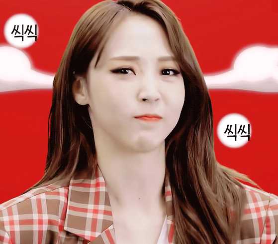 有没有mamamoo适合做表情包的动图