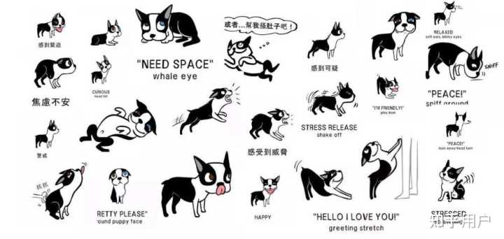 从科学的角度分析,狗对人类是真的有感情吗? - 知乎