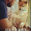 浮华与幻想