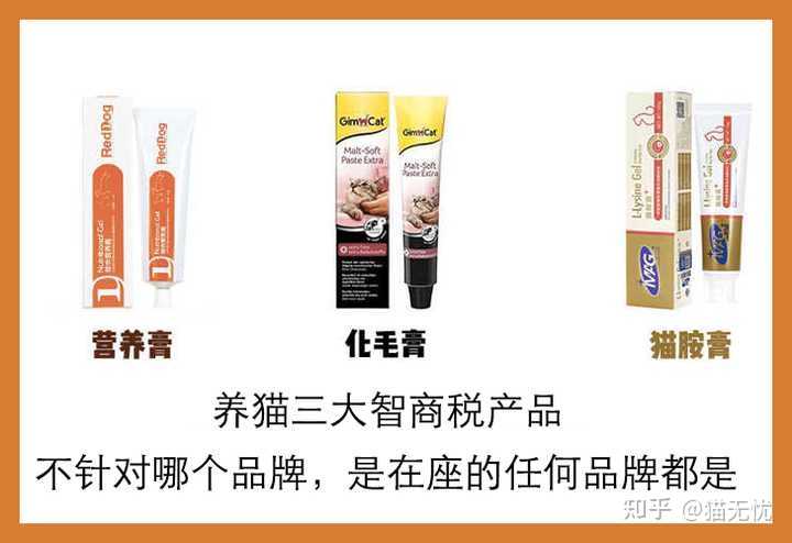 养橘猫一个月花费 十大新手最好养的猫 世界十大禁养名猫