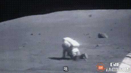 动图封面