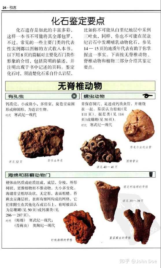 小白想挖化石 应该怎样入门 知乎 小白想挖化石 应该怎样入门 知乎