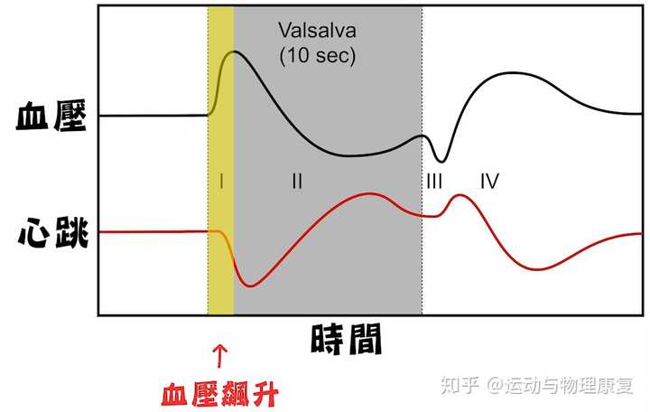 心跳输出的血量快速降低，导致主动脉输出血量降低，血压也会随之降低。其实心跳在这个过程中快速的增加，其