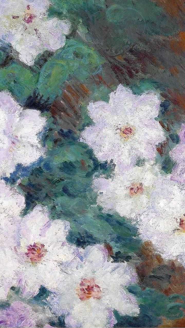 有哪些让你一眼就 惊艳 的手机壁纸 知乎