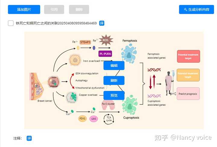 请问各位什么软件可以做出这种SCI论文机制图图片? - 知乎