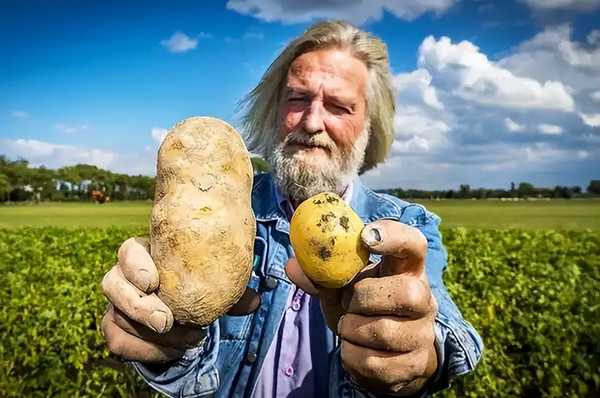 为什么中国能实现蔬菜自由，欧洲却不行？