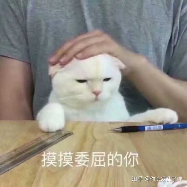有哪些安慰别人的表情包？ - 知乎