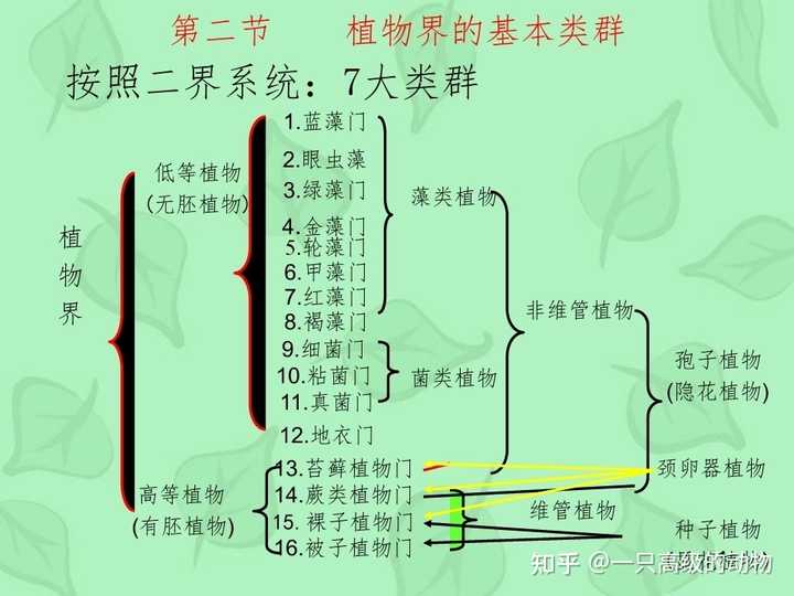 植物是怎么分类的? - 知乎